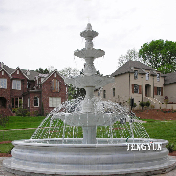 landscaping-small-front-yards-Landscape-Traditional-with-accanthus-designer-fountain-driveway
