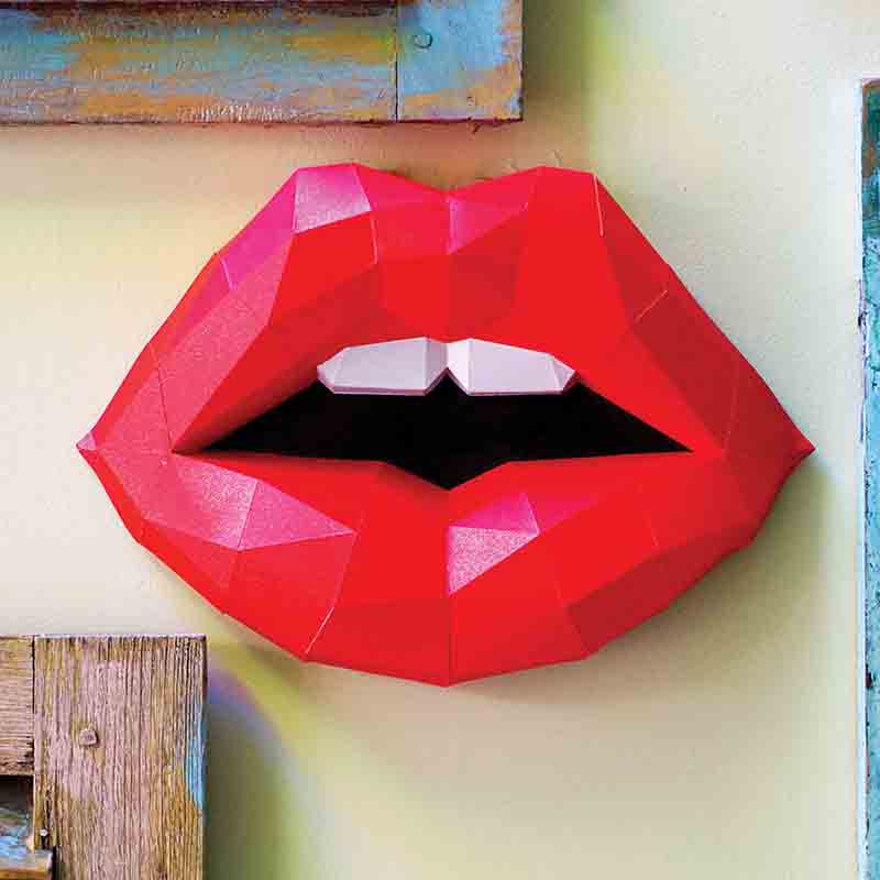 stainless steel lip (1)