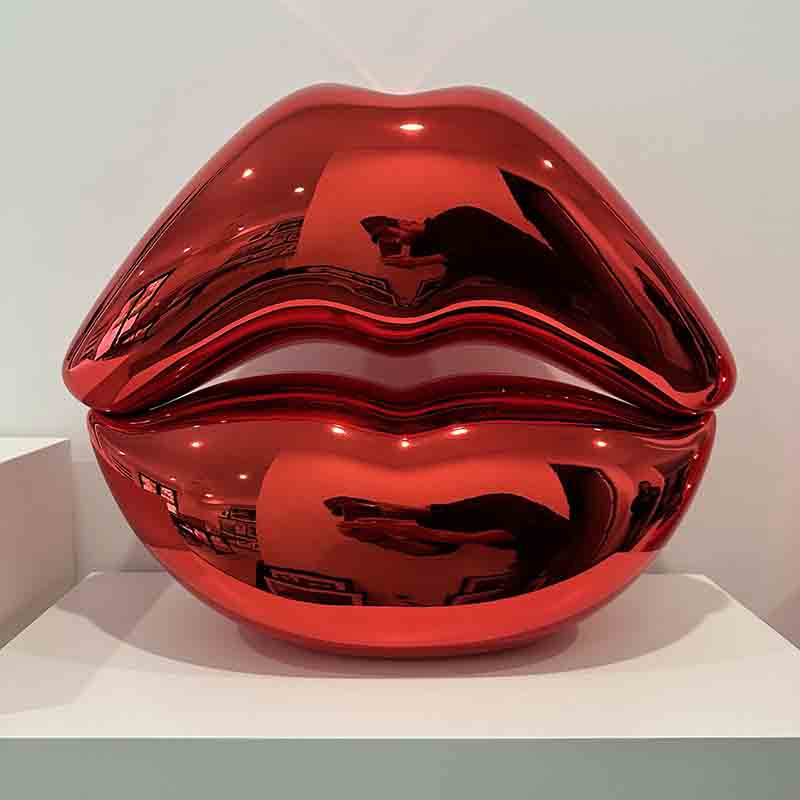 stainless steel lip (2)
