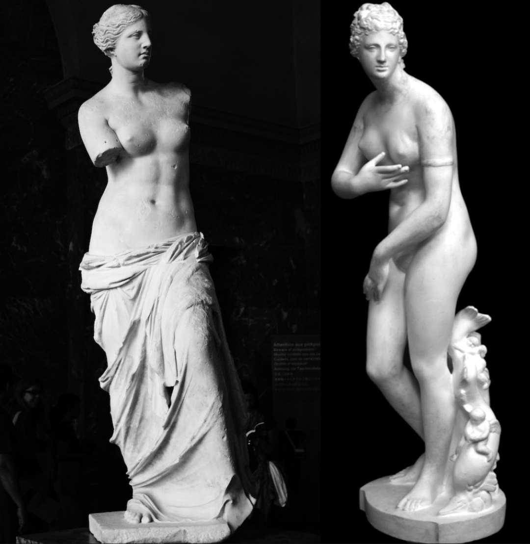 Two famous Venus statue