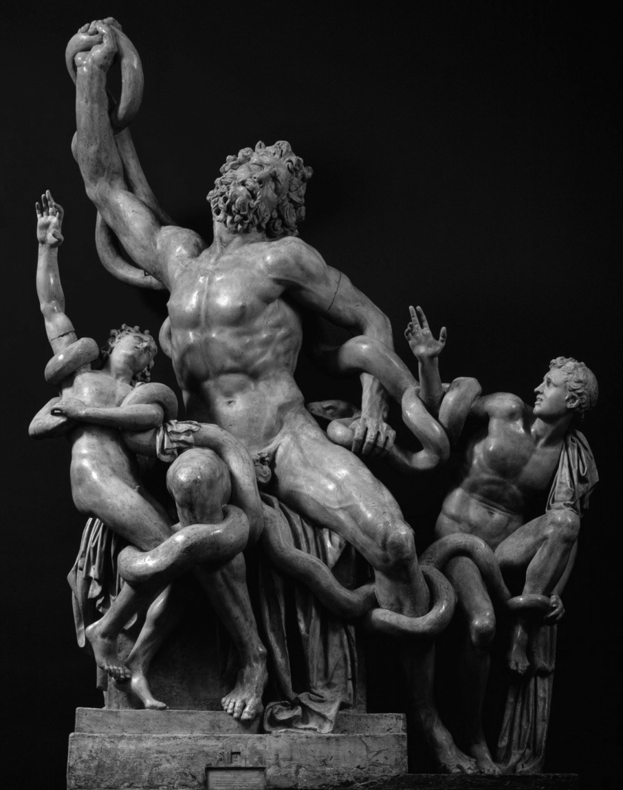 Laocoön and His Sons statue (6)