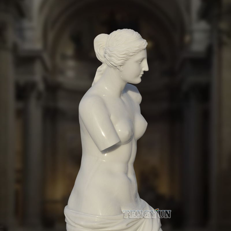 Natural White Marble Custom Venus De Milos Statue Famous Roman Mythological Figure Sculpture (2)
