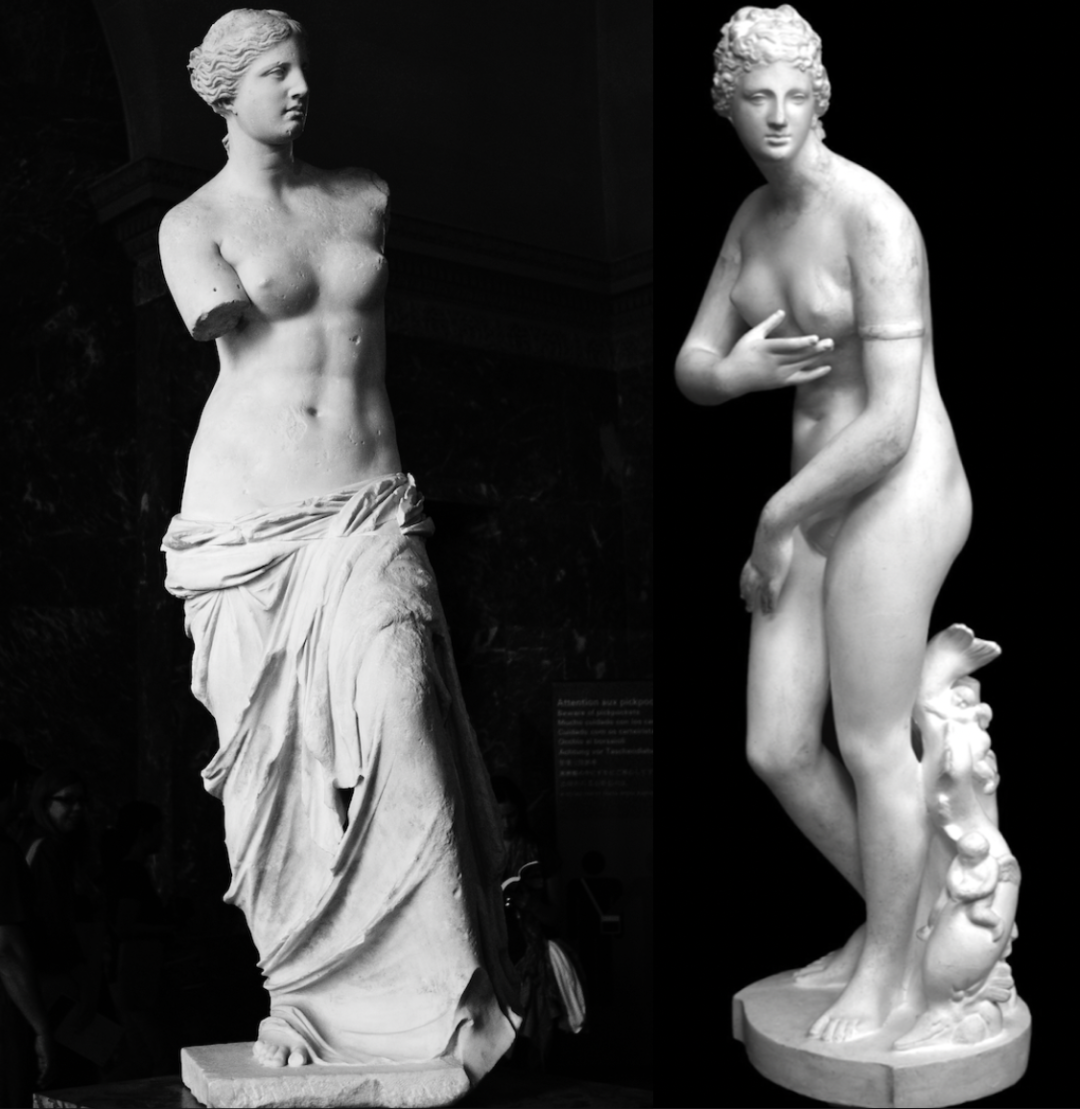 Two  famous Venus statue