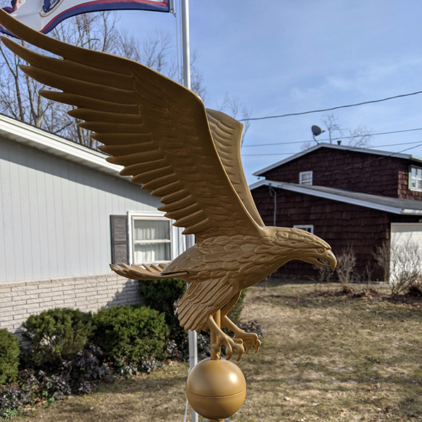 bronze eagle outdoor
