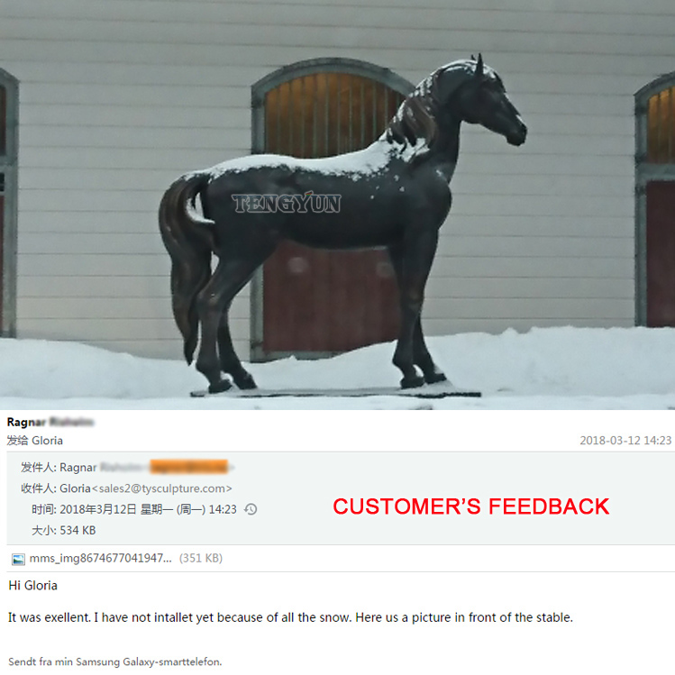 bronze horse feedback