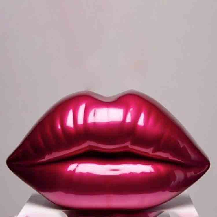stainless steel lip (3)